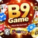 B9 Game